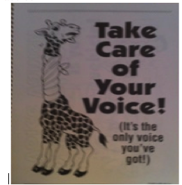 take care of voice 